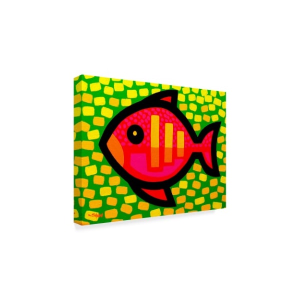 John Nolan 'Big Fish' Canvas Art,35x47